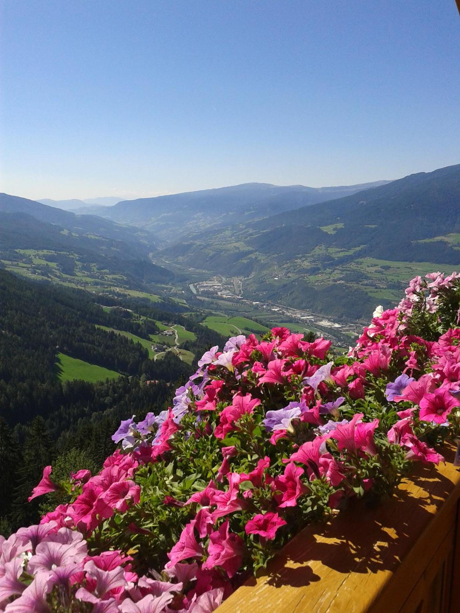 Kaserhof Wandern- Alleinlage - Ruhig- Top Aussicht Bressanone Exterior photo